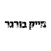 מייק בורגר